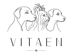 Vitaen